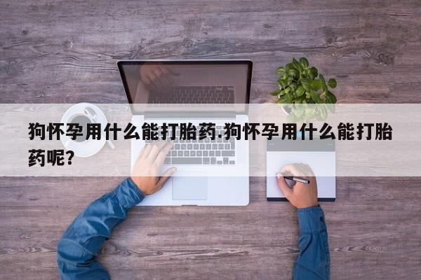 网上米非司酮在线下单微信狗怀孕用什么能打胎药.狗怀孕用什么能打胎药呢？