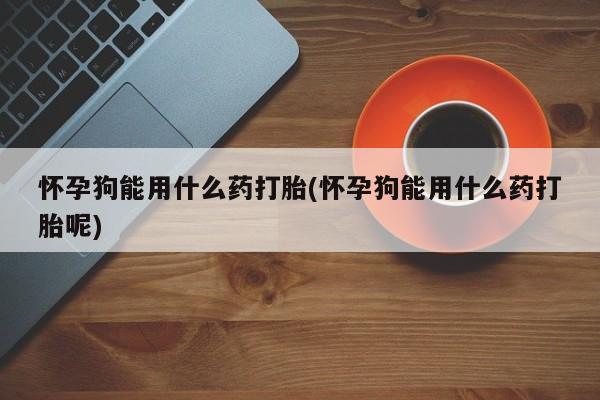 网上米非司酮在线下单微信怀孕狗能用什么药打胎(怀孕狗能用什么药打胎呢)